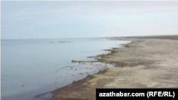 Hazar deňziniň kenary. Türkmenistan. May, 2023 ý. 