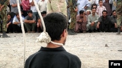 عکس تزئینی است