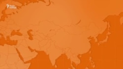 Действия США после ссоры Трампа и Зеленского