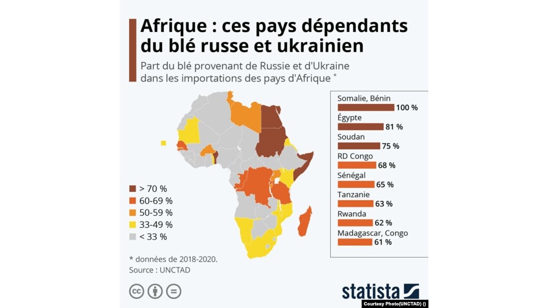 Statele africane dependente de grâul ucrainean și rusesc.