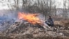 Image result for "Алеся Петрашкевіча"
