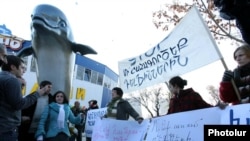 Армения – Акция протеста экологов против открытия в Ереване дельфинария, Ереван, 24 декабря 2010 г.