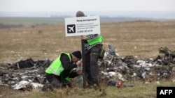 На місці катастрофи MH17 на Донбасі
