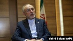 علی اکبر صالحی تاثیر تحریم‌ها بر اقتصاد ایران را تایید می‌کند.