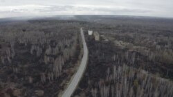 Чорнобильська зона: відео з місця пожежі