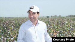 Türkmenistanyň prezidenti Gurbanguly Berdimuhamedow pagta meýdanynda 