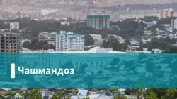 Ҷузъиёти куштори Бахтиёр Расулов дар барномаи "Садои ҳамватан"