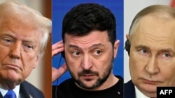 Дональд Трамп, Владимир Зеленский и Владимир Путин (коллаж)