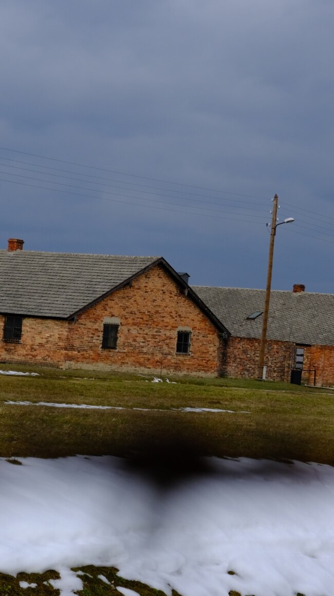 Preživjeli holokausta pripremaju se za 80. godišnjicu oslobođenja Auschwitza
