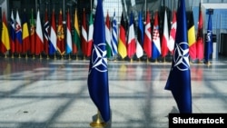 Наразі відкликано акредитацію 8 членів російського представництва при НАТО