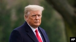 Дональд Трамп. 